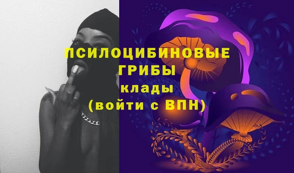 ПСИЛОЦИБИНОВЫЕ ГРИБЫ Вязьма