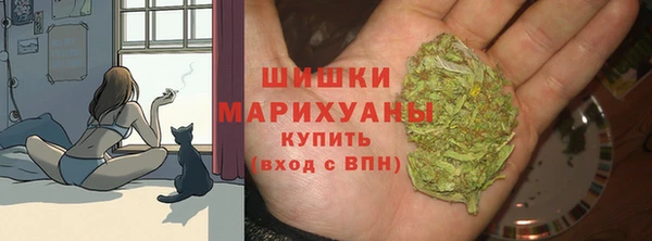 apvp Балабаново