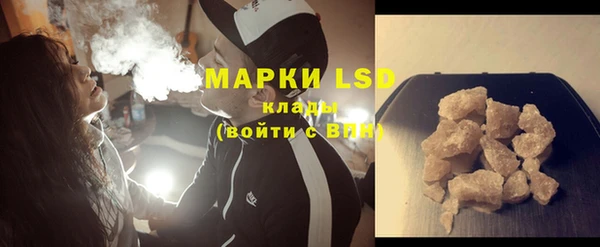 хмурый Аркадак
