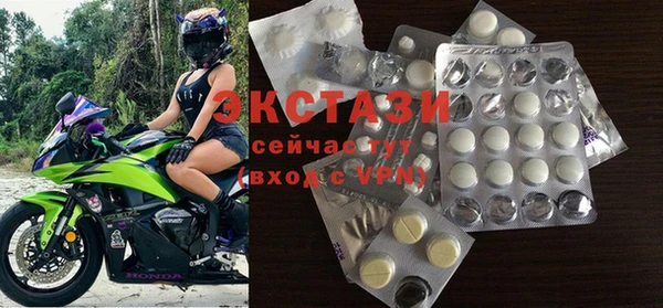 хмурый Аркадак
