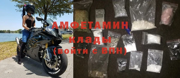 хмурый Аркадак