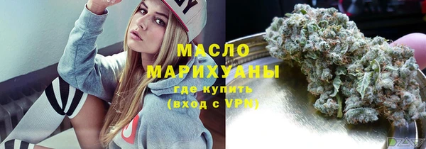 хмурый Аркадак