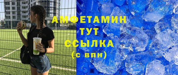 хмурый Аркадак