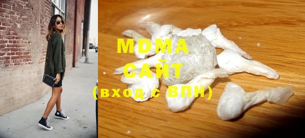 хмурый Аркадак