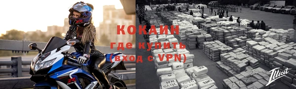 хмурый Аркадак