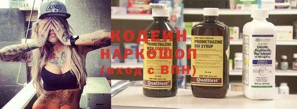 хмурый Аркадак