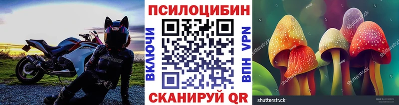 Галлюциногенные грибы мухоморы  магазин продажи наркотиков  Белово 