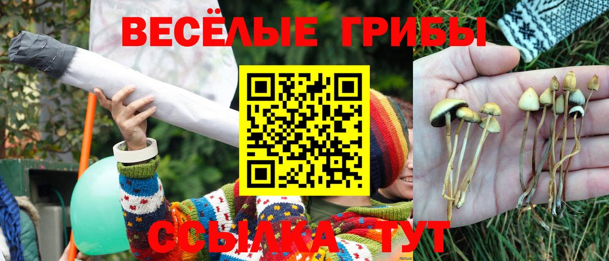 Псилоцибиновые грибы мицелий  Вход с VPN  Белово 