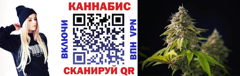 Марихуана сатива  Белово 
