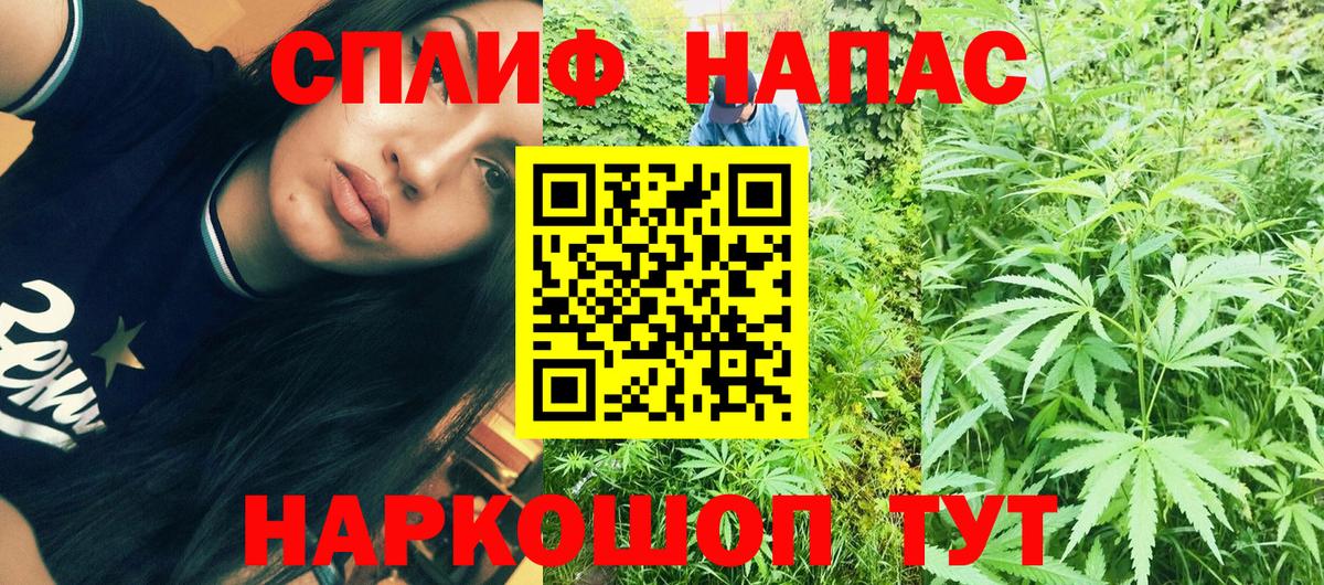 Каннабис Ganja  Шишки марихуана ГИДРОПОН  Канабис THC 21%  Белово  Вход с VPN 